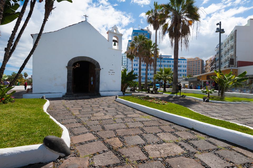 Tenerife: Trip to Puerto de la Cruz - Botanical Gardens and Paseo de San Telmo: plant lovers get the best payoff