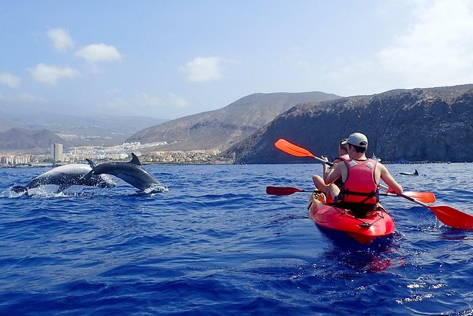 Tenerife: Turtle & Dolphin Kayak Tour with Snorkel & Wetsuit - Los Cristianos meeting point: where the day starts and how to avoid stress