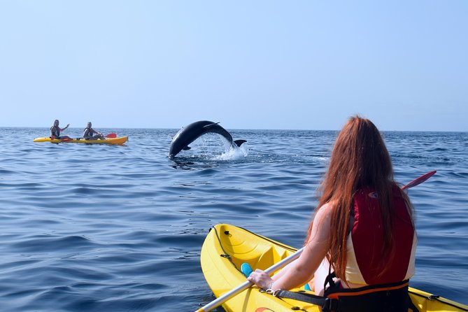 Tenerife: Turtle & Dolphin Kayak Tour with Snorkel & Wetsuit - The paddle along Tenerife’s west coast: what it feels like