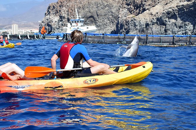Tenerife: Turtle & Dolphin Kayak Tour with Snorkel & Wetsuit - Snorkel stop mid-route: clear water when conditions cooperate