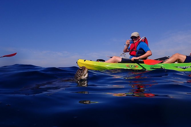 Tenerife: Turtle & Dolphin Kayak Tour with Snorkel & Wetsuit - Returning toward Los Cristianos: Teide and coastline panoramas