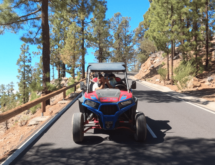 Tenerife: Volcano Teide Buggy Tour with Wine Tasting & Tapas - Teide National Park timing: photo stops, cold air, and where to pause