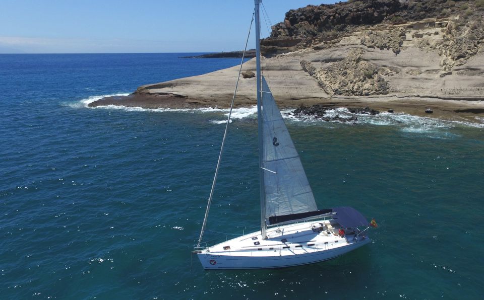 Tenerife: Whale and Dolphin Watching Tour by Sailboat - Why Whale Watching Off Tenerife Can Feel Personal