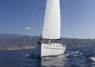 Tenerife: Whale and Dolphin Watching Tour by Sailboat - From Puerto Colón Dock 8: The Start That Sets the Tone