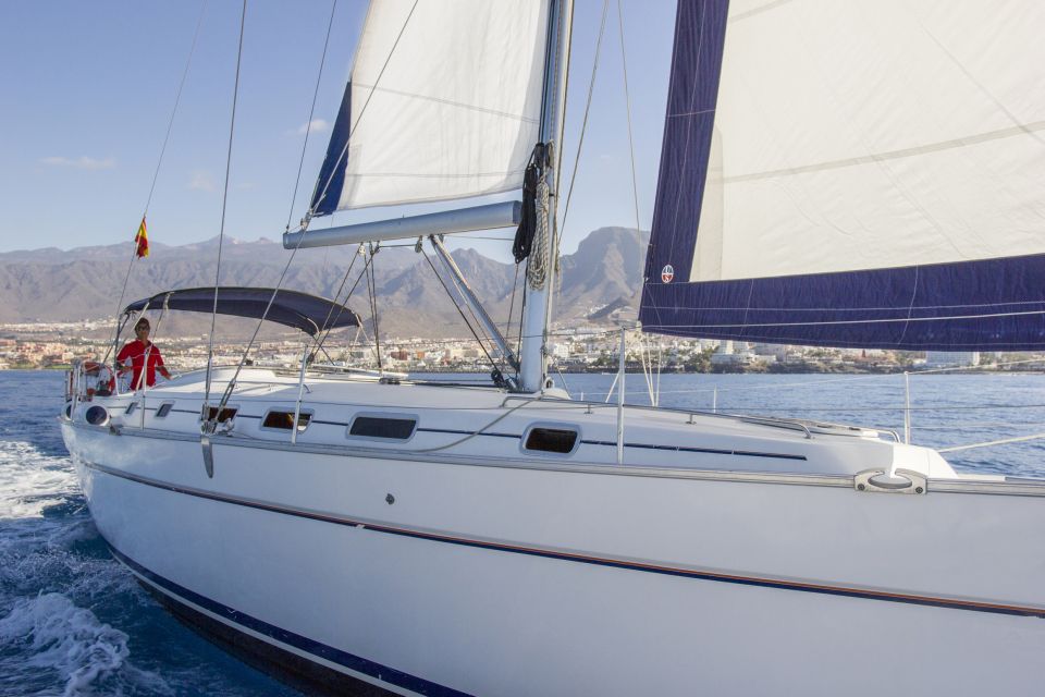 Tenerife: Whale and Dolphin Watching Tour by Sailboat - What’s Onboard: Snacks, Drinks, Meal, and a Shower
