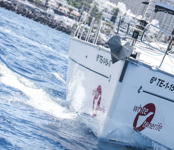 Tenerife: Whale and Dolphin Watching Tour by Sailboat - Crew and Captain Energy: The Difference Between Sightings and a Story