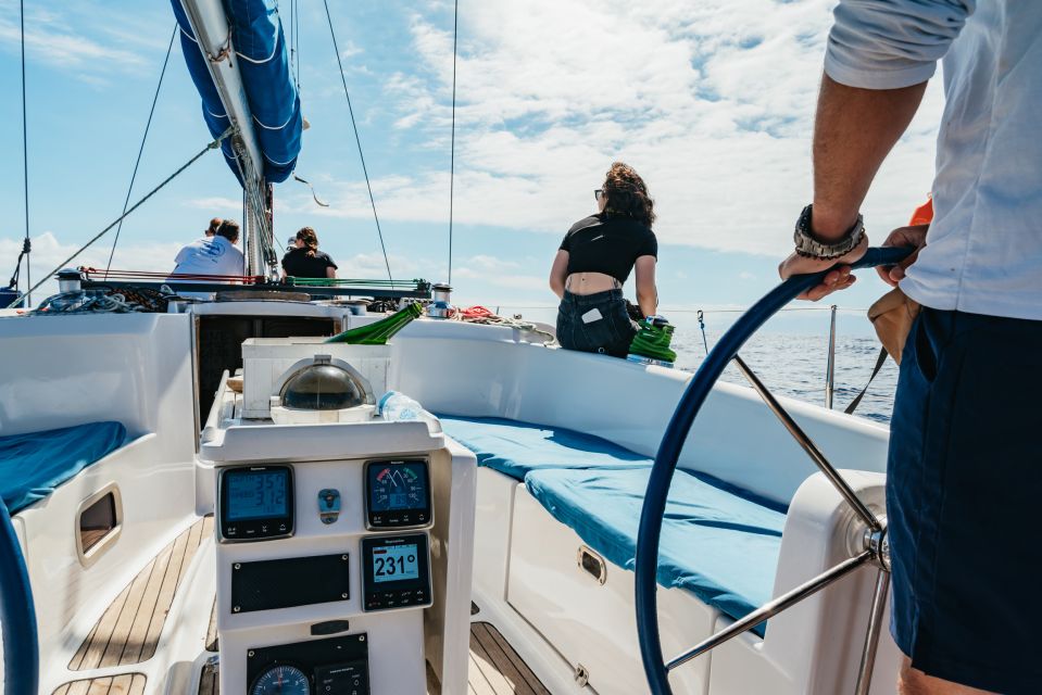 Tenerife: Whale & Dolphin Watching with Drinks and Snacks - Price check: is $77 worth it?