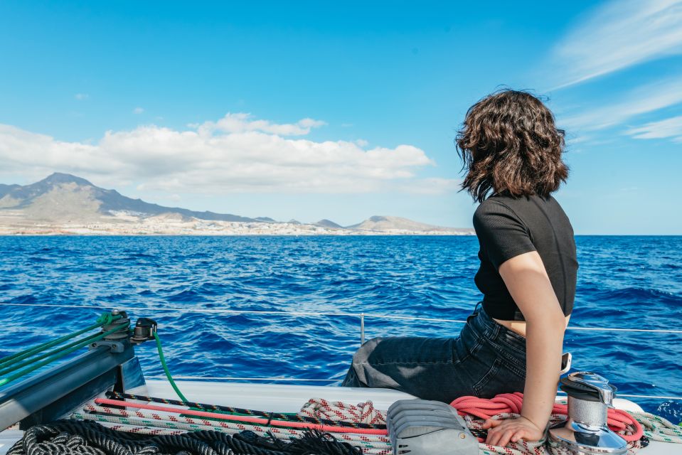 Tenerife: Whale & Dolphin Watching with Drinks and Snacks - The turtle snorkeling stop: what the secluded bay time is like
