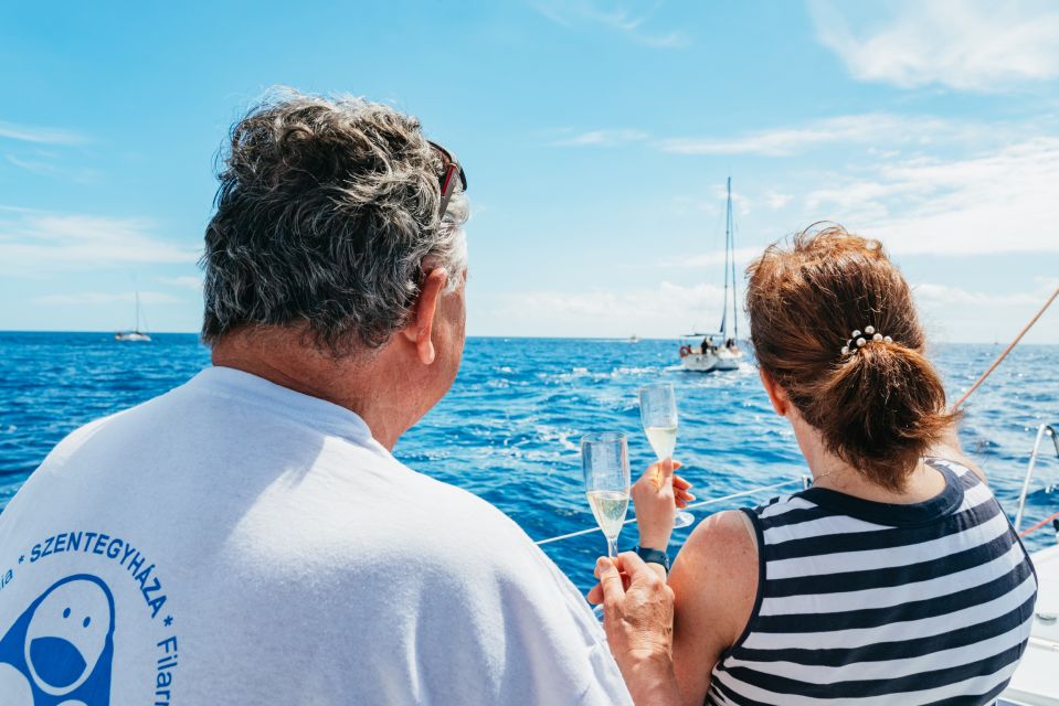 Tenerife: Whale & Dolphin Watching with Drinks and Snacks - Drinks, baguettes, and snacks: the onboard comfort factor