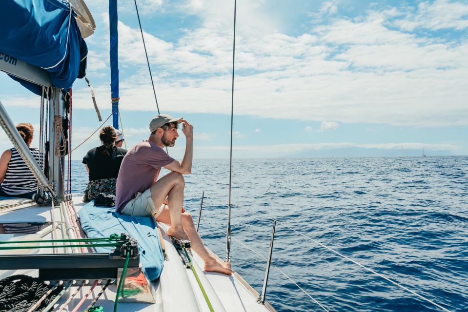 Tenerife: Whale & Dolphin Watching with Drinks and Snacks - Who this cruise suits best (and who might want a different plan)