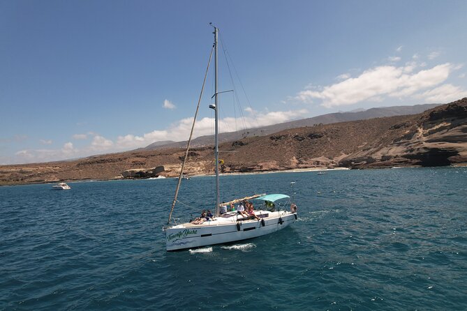 Tenerife Whale Watching and Snorkeling Yacht Trip - Playa del Puertito swim and snorkeling: turtles, time limits, and gear reality