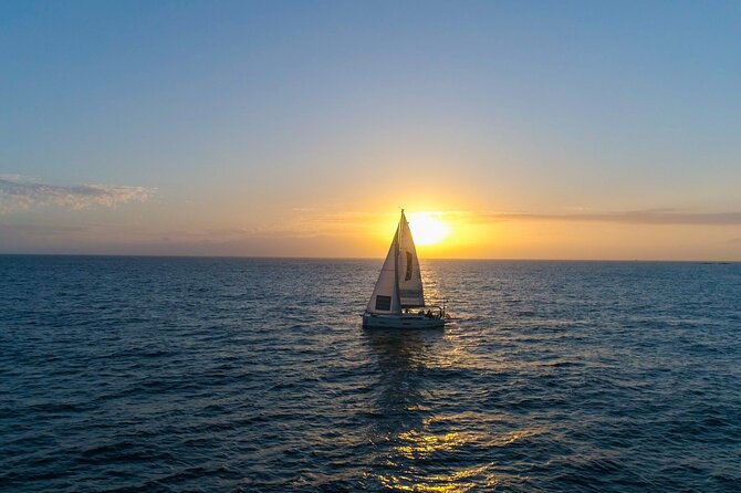Tenerife Whale Watching and Snorkeling Yacht Trip - Price and value: why $62.68 can make sense for Tenerife water time