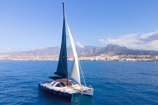 Tenerife Whales and Dolphins Watching Experience in Catamaran - Onboard catering: included sandwiches and drinks that keep the mood relaxed