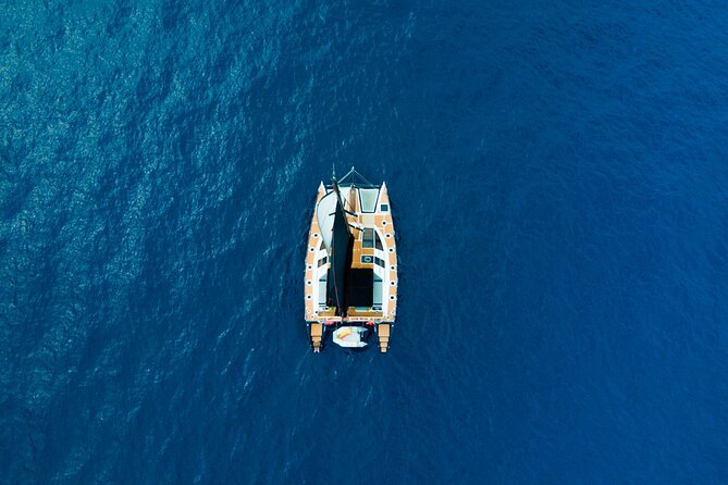 Tenerife Whales and Dolphins Watching Experience in Catamaran - Small-group vibes: why max 12 people can make a big difference