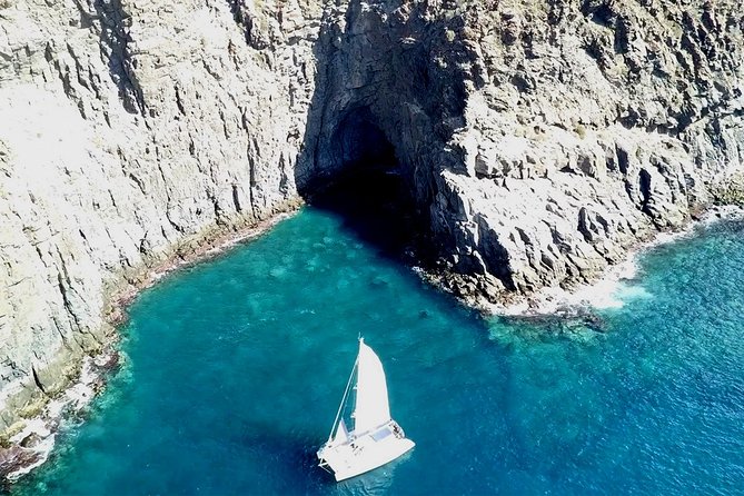 Tenerife Whales and Dolphins Watching Experience in Catamaran - How much is $68.98, and does it feel like value?