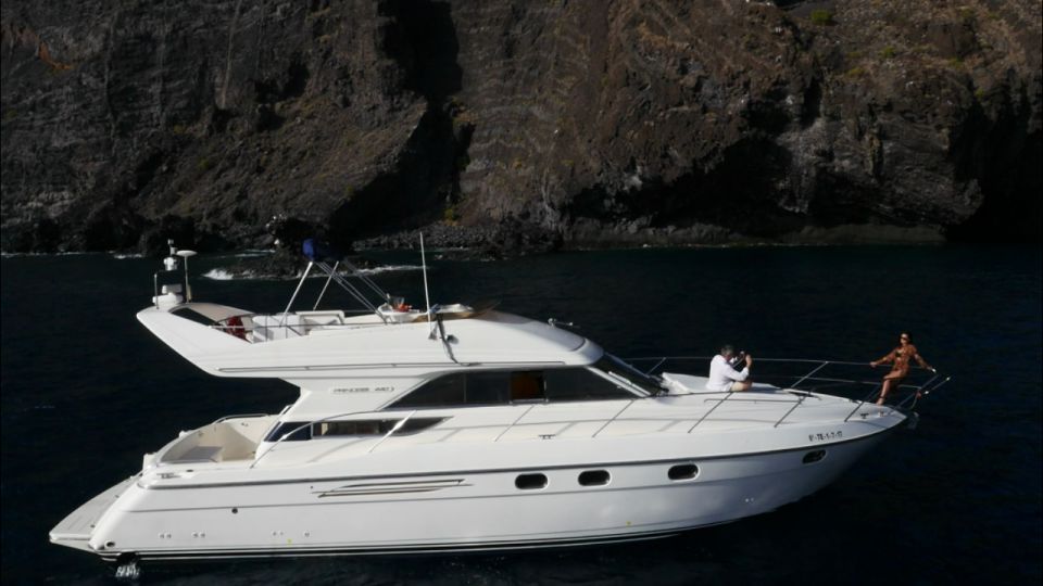 Tenerife: Whales and Snorkeling Tour on a Luxury Yacht - Whales and dolphins: how the crew boosts your odds