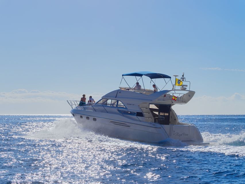 Tenerife: Whales and Snorkeling Tour on a Luxury Yacht - Who should book this yacht tour (and who should skip it)