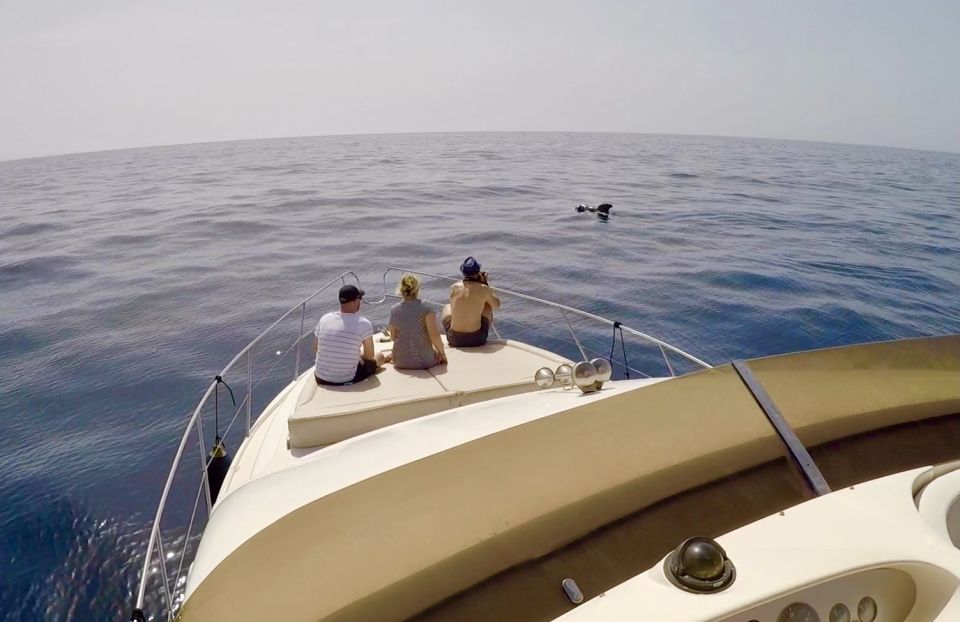 Tenerife: Whales and Snorkeling Tour on a Luxury Yacht - Practical tips for a smooth, comfortable tour
