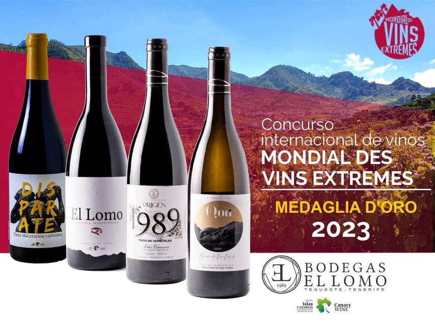 Tenerife Wine: Guided Tour & Tasting with Canarian bites - Entering El Lomo: vineyard paths in the Valley of Tegueste