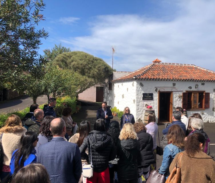 Tenerife Wine: Guided Tour & Tasting with Canarian bites - Inside the cellar: 200,000-liter tanks and bottling explained