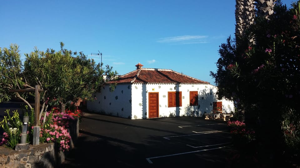 Tenerife Wine: Guided Tour & Tasting with Canarian bites - The tasting: Listán Negro and Listán Blanco with Canarian bites