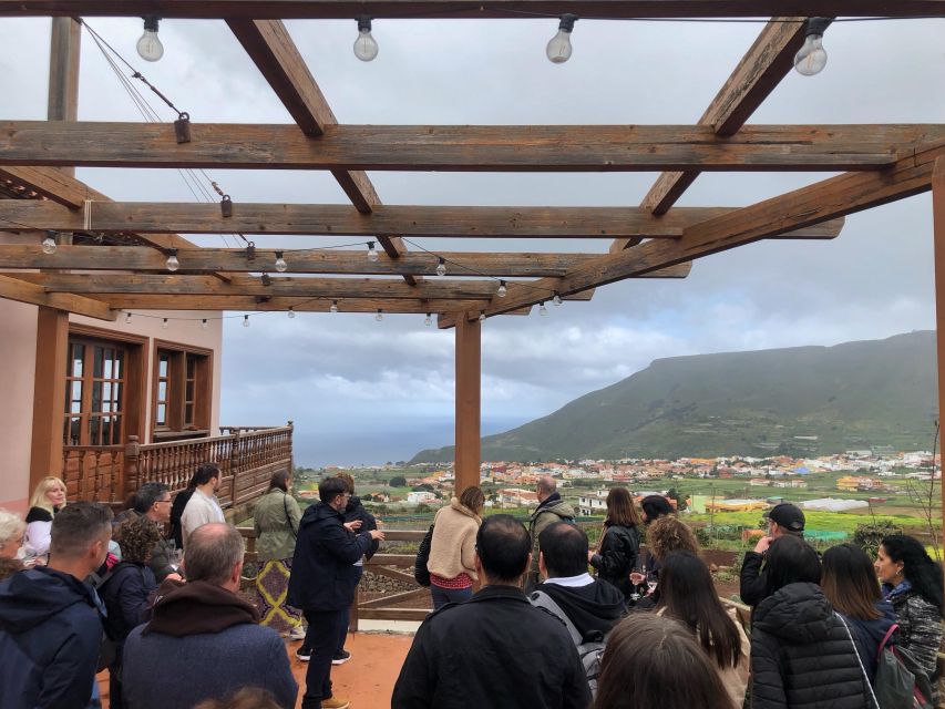 Tenerife Wine: Guided Tour & Tasting with Canarian bites - Smoked cheese, almogrote, chorizo, and sweet potato chips
