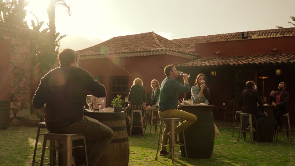 Tenerife: Wine Museum Ticket with Local Wines & Food Tasting - Key things to know before you go
