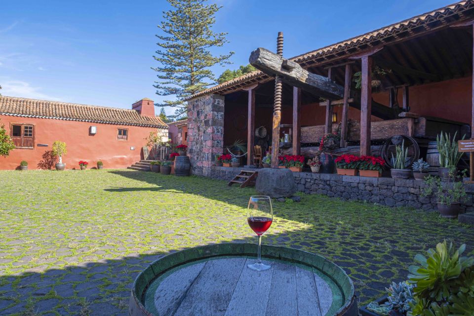 Tenerife: Wine Museum Ticket with Local Wines & Food Tasting - Gardens with grape varieties and the Teide-and-sea backdrop
