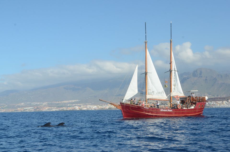 Tenerife:Respectful Whale Watching, Pirate Ship, & Swim - A Real Portuguese Schooner Feel off Los Cristianos