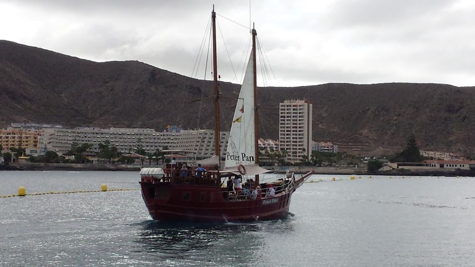 Tenerife:Respectful Whale Watching, Pirate Ship, & Swim - How the 2-Hour Cruise Fits Into the Whole Day