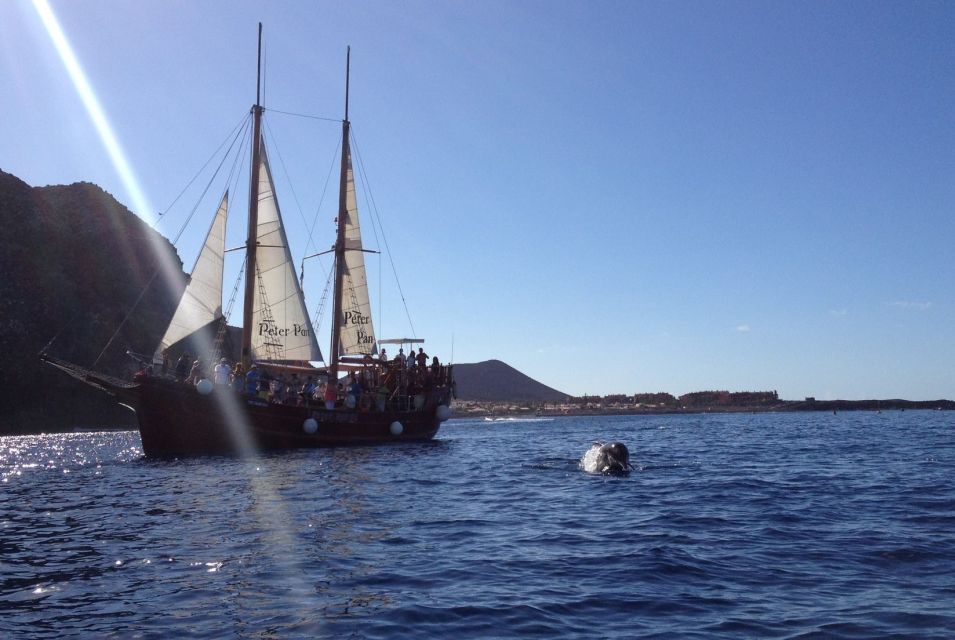 Tenerife:Respectful Whale Watching, Pirate Ship, & Swim - What You Do on the Boat: Table Time, Upper Deck Views, and Watching Like a Pro