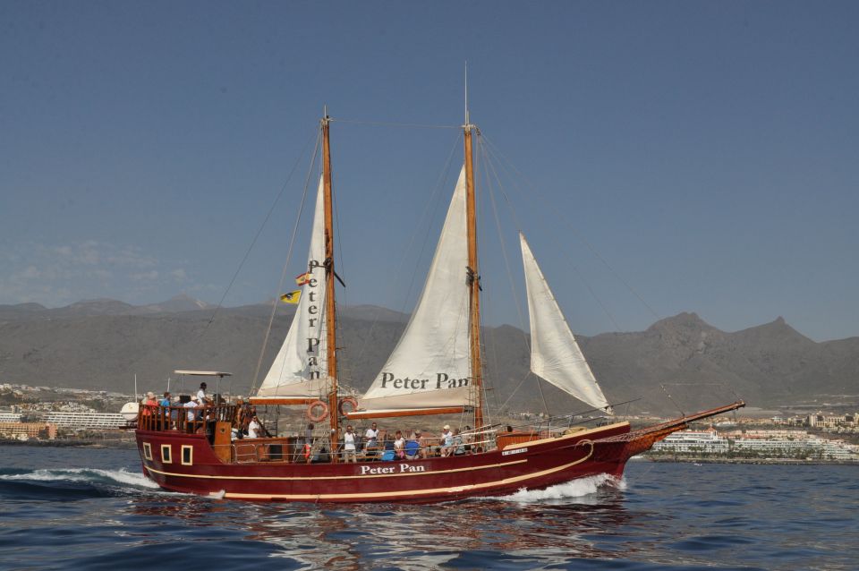 Tenerife:Respectful Whale Watching, Pirate Ship, & Swim - Drinks and Comfort: What You’ll Pay For Onboard