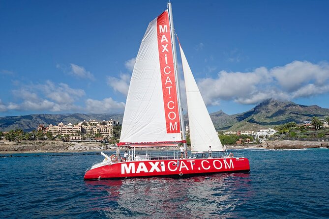 Tour with Whale and Dolphin Watching plus food included - Key highlights you’ll feel fast
