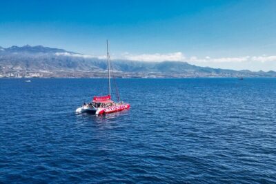 Tour with Whale and Dolphin Watching plus food included - Food and drinks included: what $47 actually covers