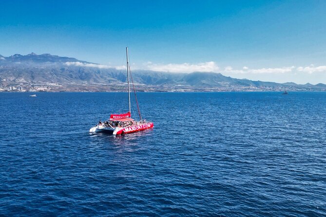 Tour with Whale and Dolphin Watching plus food included - Food and drinks included: what $47 actually covers