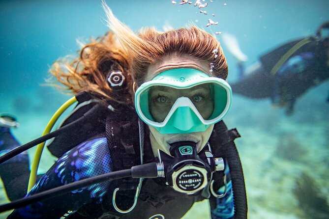 Try Dive - PADI Discover Scuba Diving in Tenerife - Key highlights worth caring about