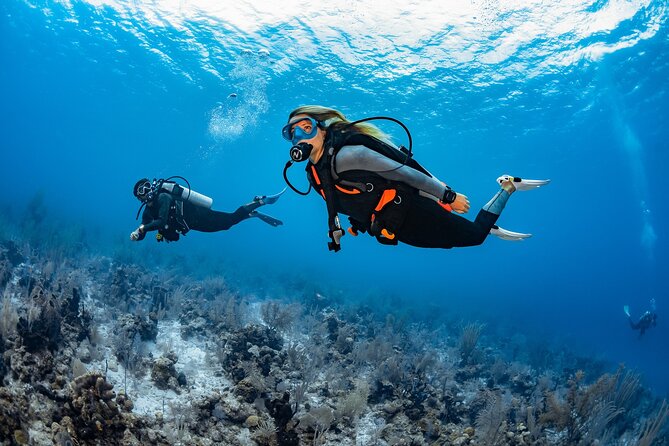 Try Dive - PADI Discover Scuba Diving in Tenerife - Land Training First: How You Build Comfort Without Panic