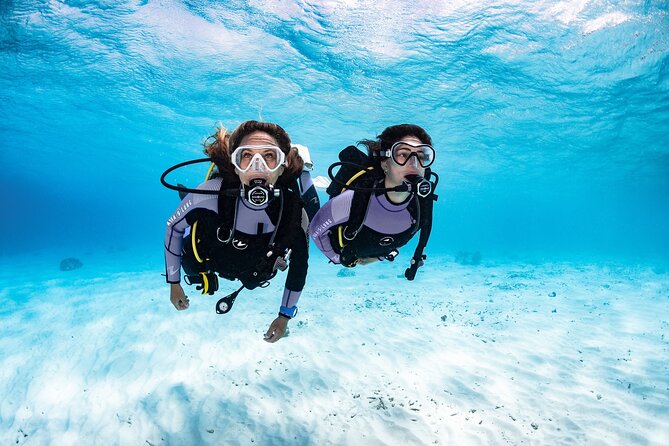 Try Dive - PADI Discover Scuba Diving in Tenerife - Meet Scubanana at Radazul and Know the Day’s Timing