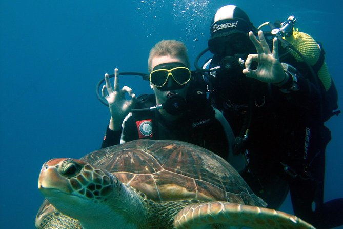 Try Scuba Diving in a turtle area (boat) - Key Things I’d Watch for Before You Go