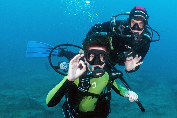 Try Scuba Diving in a turtle area (boat) - First-Time Scuba in Tenerife’s South: What You’re Really Buying