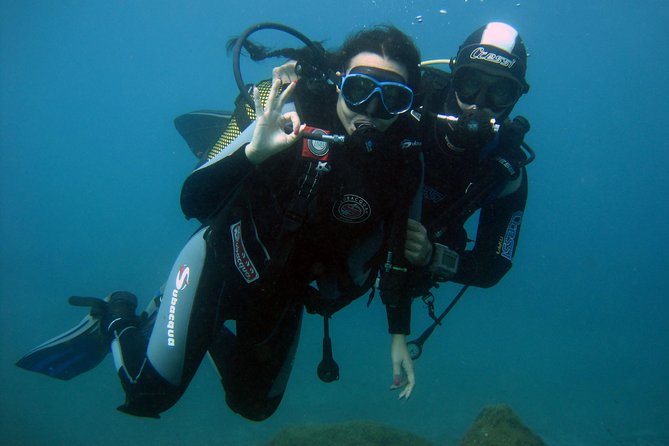 Try Scuba Diving in a turtle area (boat) - What Happens Before the Water: Gear, Rules, and Instructor Attention