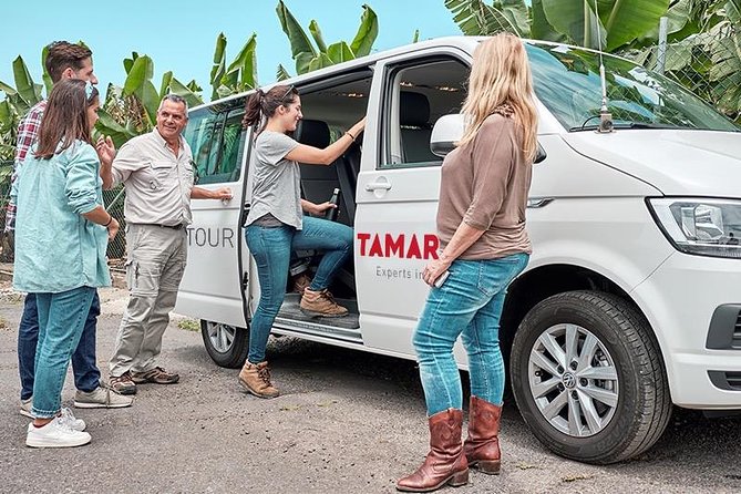 VIP Grand Tour Isla de Tenerife from South Tenerife - Key highlights worth aiming for