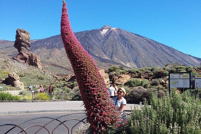 Volcano Teide - Masca ravine. Guided Tour from Puerto de la Cruz - Tenerife - Guide and Driver: The Real Difference Between a Great Day and a Rough One