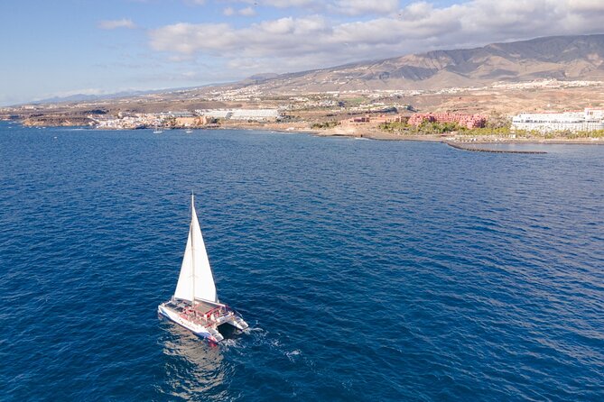 Watching and Listening Whales visiting Los Gigantes&Masca. Food&drinks included - Food and drinks onboard: Canarian mojo plus a filling lunch