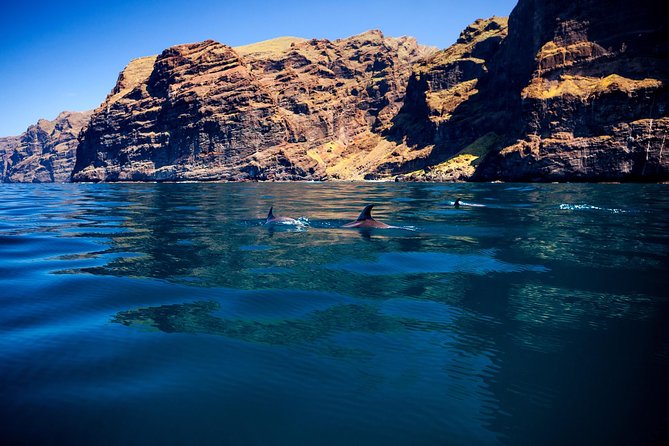 Watching and Listening Whales visiting Los Gigantes&Masca. Food&drinks included - Getting to Costa Adeje: where you start and what to plan
