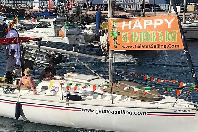 Whale and Dolphin Small Group Sailing from Tenerife South - Weather, motion, and sea-sickness reality checks