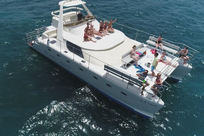 Whale and Dolphin Watching Catamaran with Transfer and Buffet - 5 Key Things You’ll Notice on This Catamaran Trip