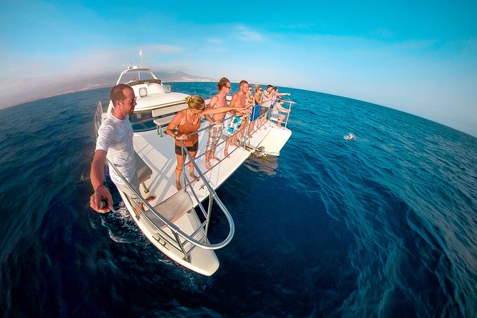 Whale and Dolphin Watching Catamaran with Transfer and Buffet - Entering the Monte Cristo Catamaran: What the Boat Gets Right