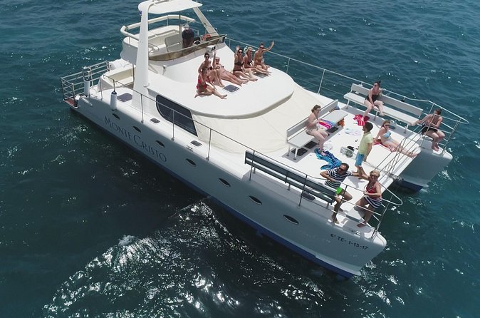 Whale and Dolphin Watching Catamaran with Transfer and Buffet - Who This Tour Is Best For (and Who Might Want Something Different)