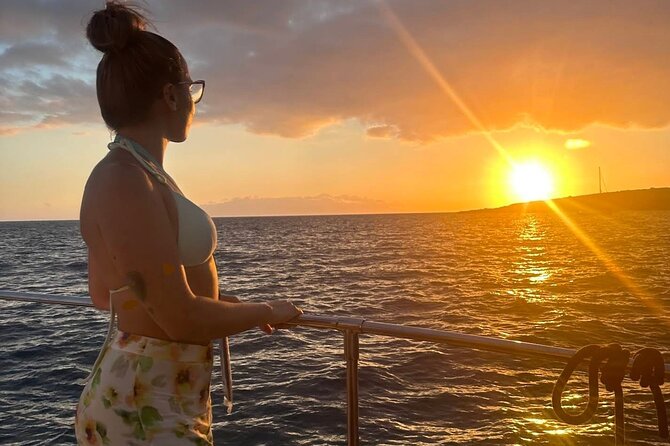 Whale and Dolphin Watching Catamaran with Transfer and Buffet - Price and Value: Does $71.35 Make Sense Here?